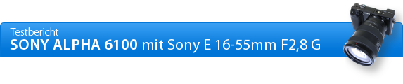 Sony Alpha 6100 Praxisbericht